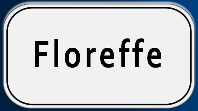 pose et placement de portes en verre à Floreffe