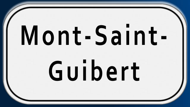 pose et placement de portes en verre à Mont-Saint-Guibert