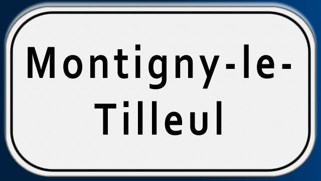 pose et placement de portes en verre à Montigny-le-Tilleul